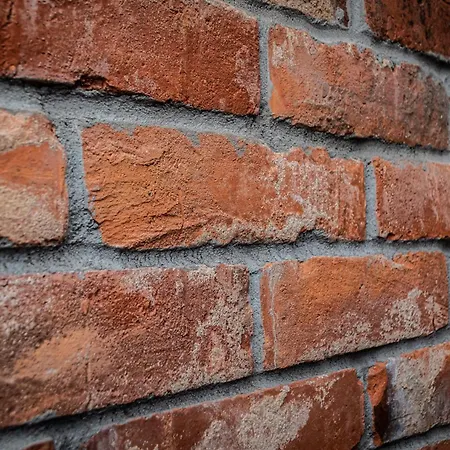 Bryza Z Sauna & Z Kominkami * Jantar